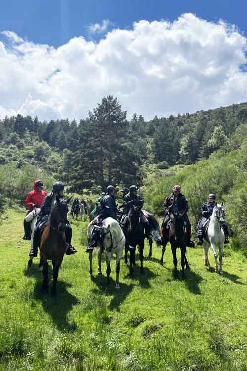 RUTA_DEMANDA_INICIO_1