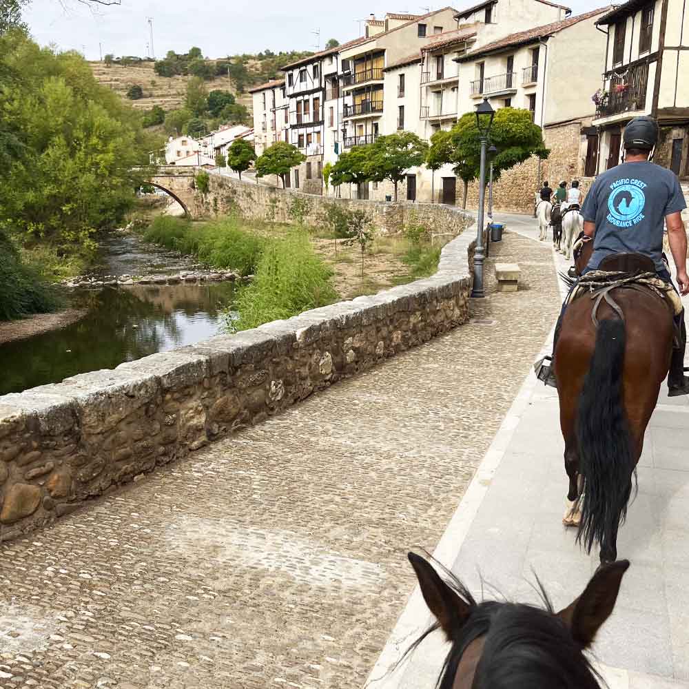 CAMINO_CID_10