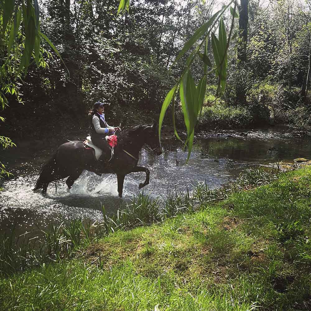 CAMINO_MEDIEVAL_LEBANIEGO_1