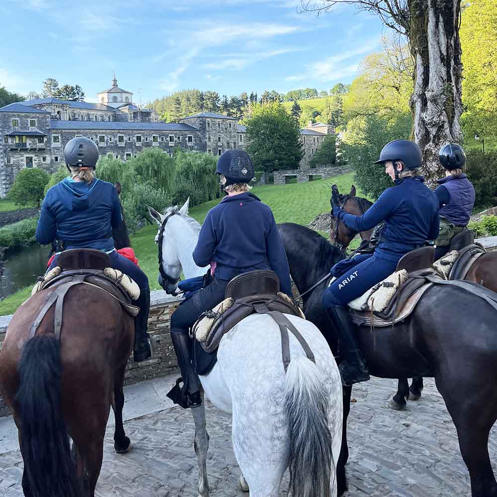 CAMINO_SANTIAGO_CABALLO_2
