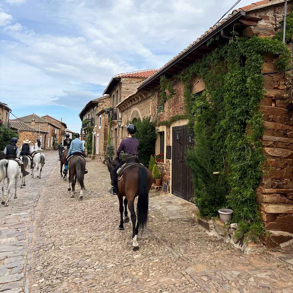 CAMINO_SANTIAGO_CABALLO_6