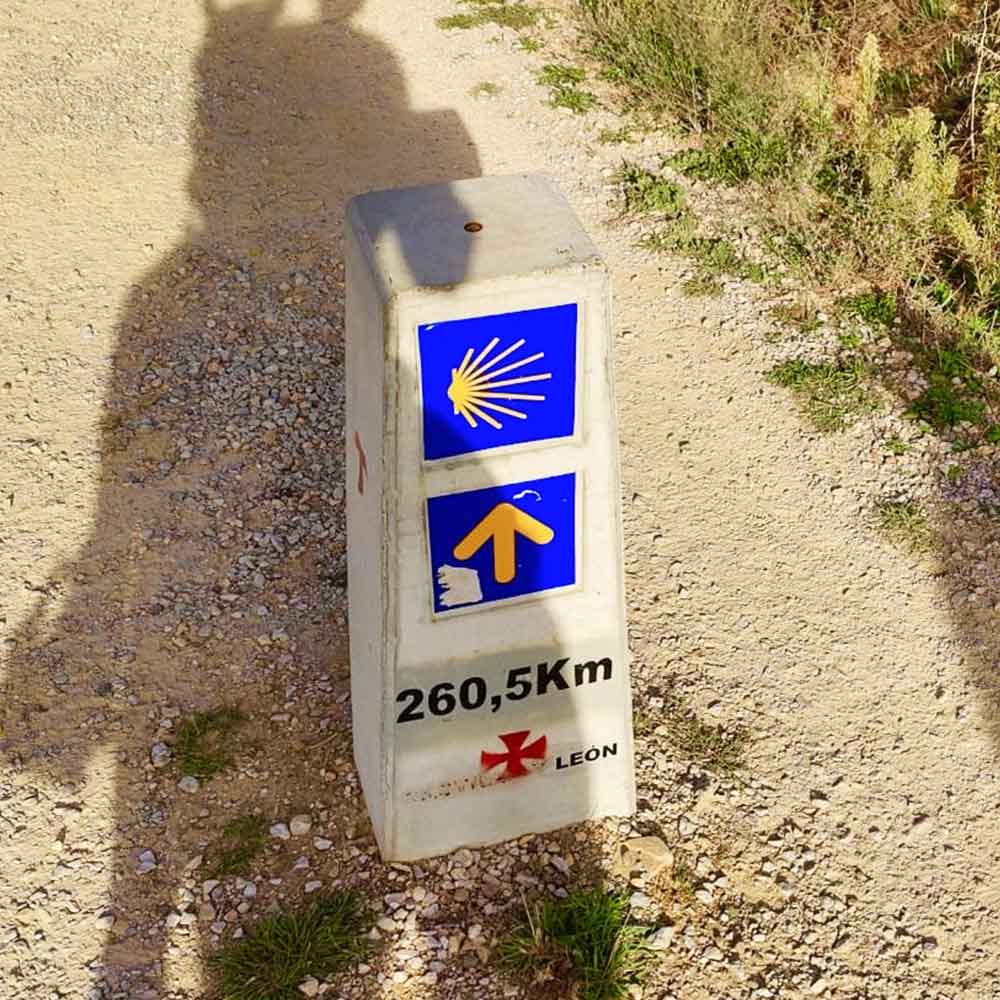 CAMINO_SANTIAGO_CABALLO_8