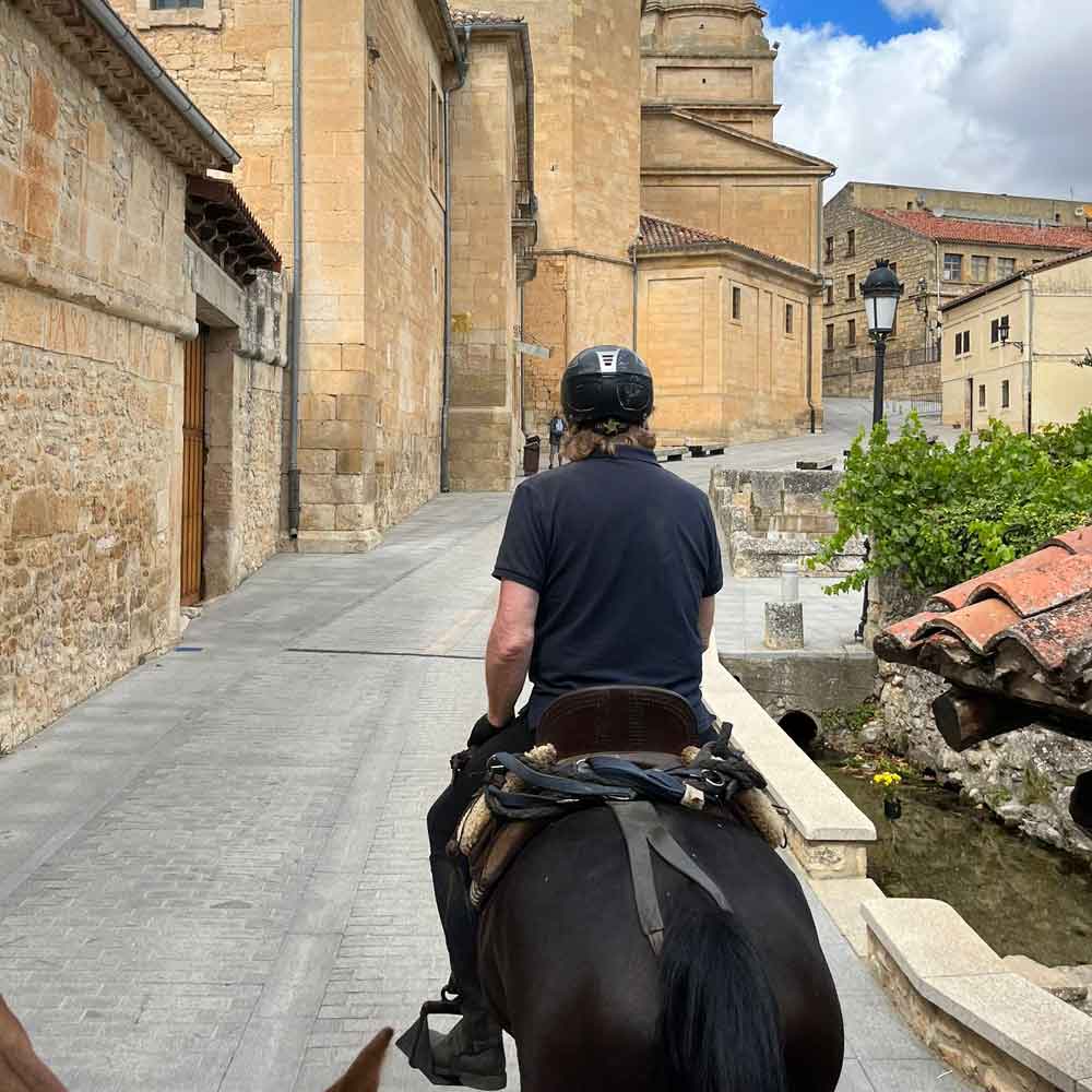 CAMINO_CID_12