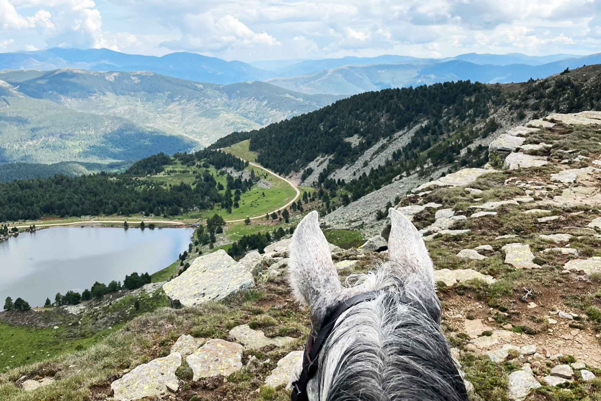 CASTILLA_HORSES_21